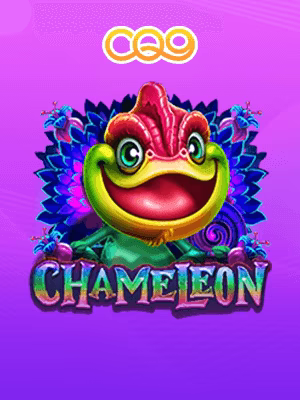 Banner casino scorer di CZXHL17